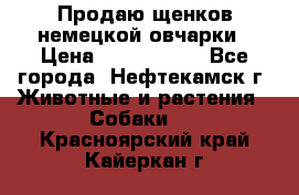 Продаю щенков немецкой овчарки › Цена ­ 5000-6000 - Все города, Нефтекамск г. Животные и растения » Собаки   . Красноярский край,Кайеркан г.